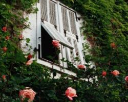 Preacher to Preacher: Windows Are Better than Paintings!